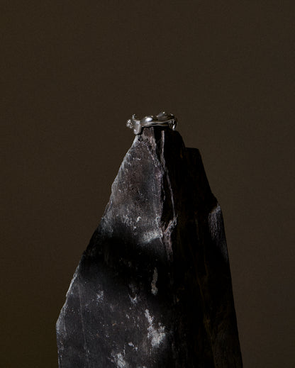 CAPRIOUS RING (NHS XRAY SILVER)